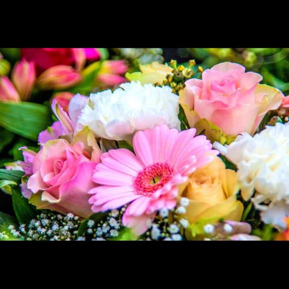 lilyflower480